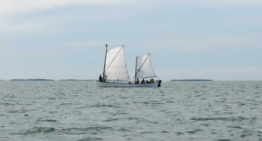 From a distance, a sailboat with white sails floats on water under a gray-blue sky.